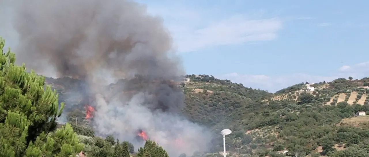 Domenica di fuoco a Bisignano: diversi incendi attraversano valli e zone montuose- Video\n