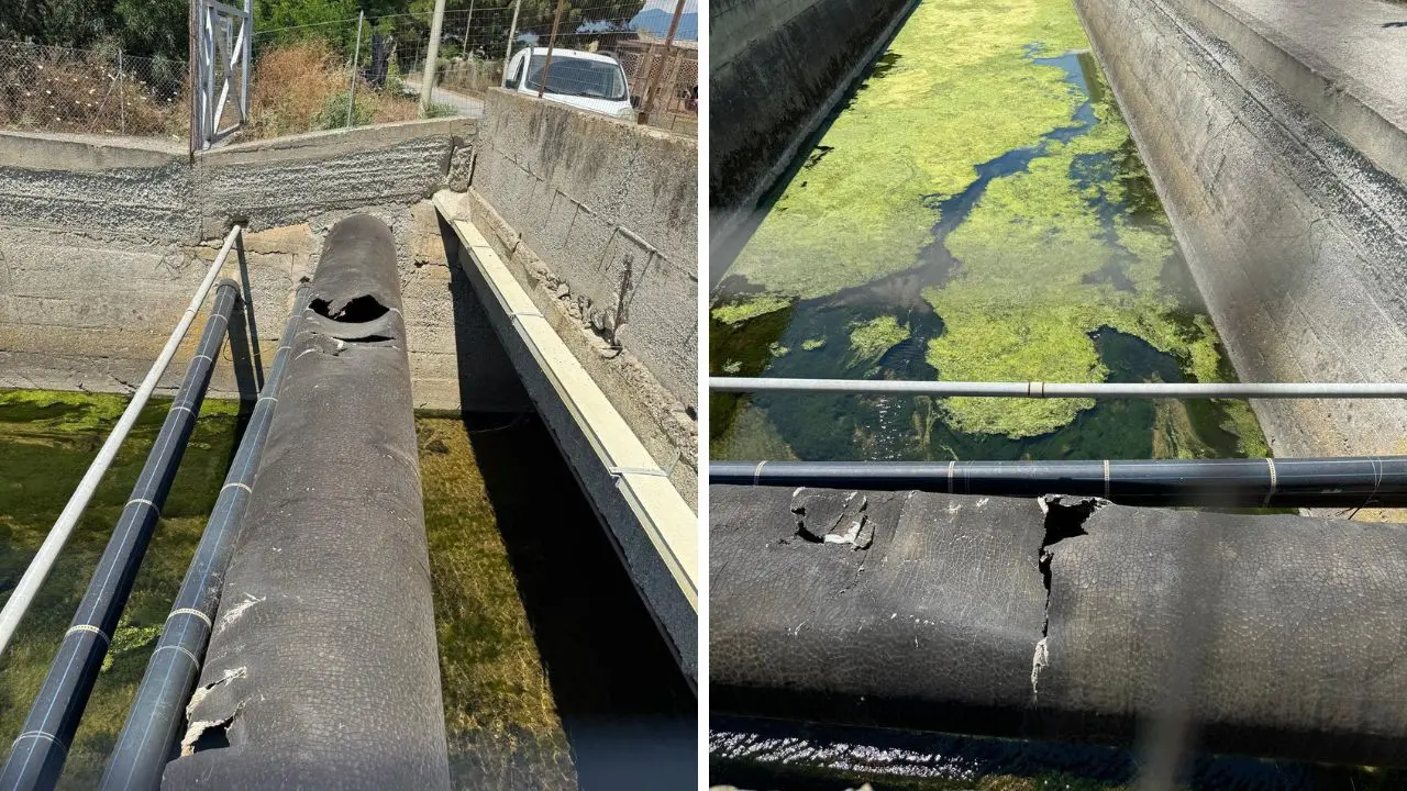 Mare sporco a Lamezia, Occhiuto: «Individuata condotta danneggiata. Verifiche in corso»\n