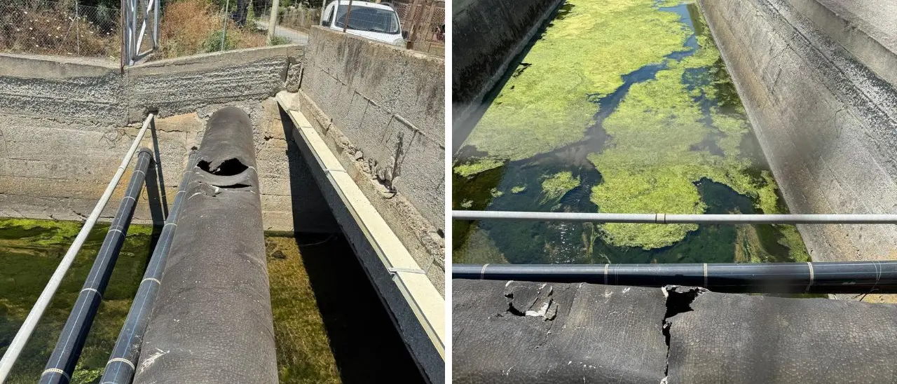 Mare sporco a Lamezia, Occhiuto: «Individuata condotta danneggiata. Verifiche in corso»\n