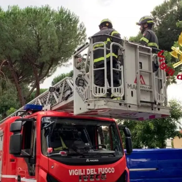 Una donna muore colpita da un tronco abbattuto dal vento. A Milano pioggia torrenziale, grandine e blackout\n