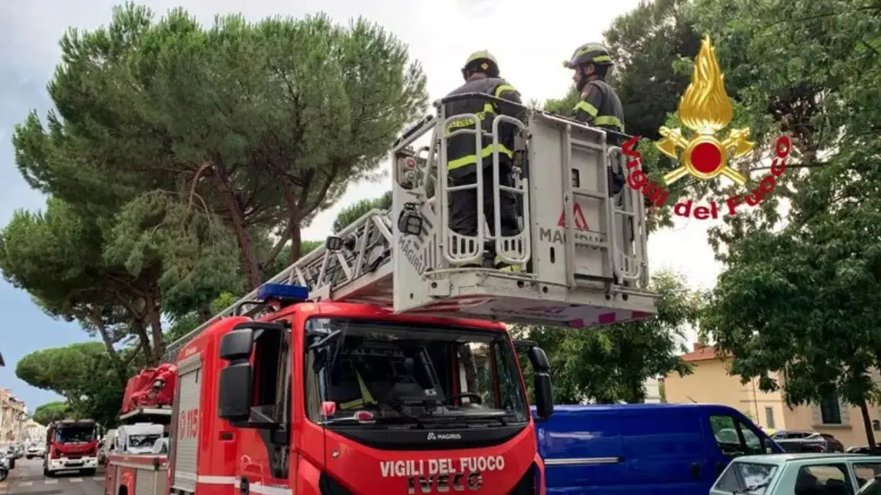 Una donna muore colpita da un tronco abbattuto dal vento. A Milano pioggia torrenziale, grandine e blackout\n