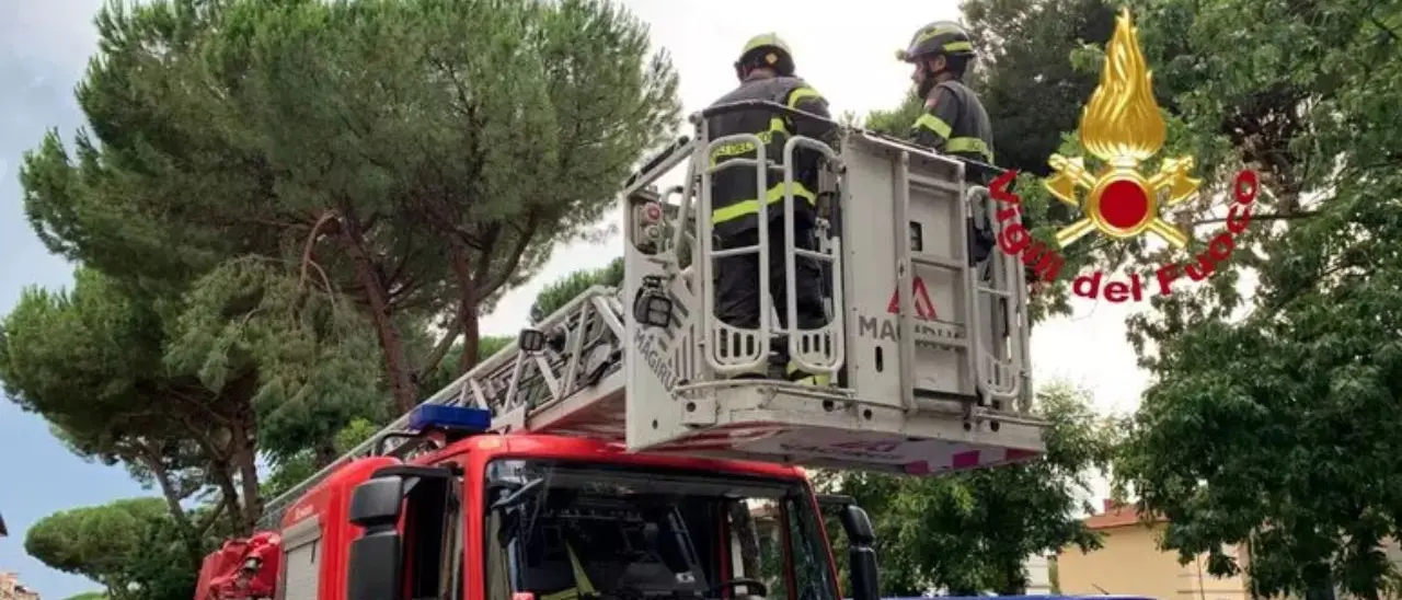 Una donna muore colpita da un tronco abbattuto dal vento. A Milano pioggia torrenziale, grandine e blackout\n