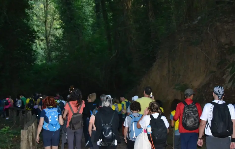 Nel Vibonese un’escursione notturna alla scoperta del bosco Archiforo\n