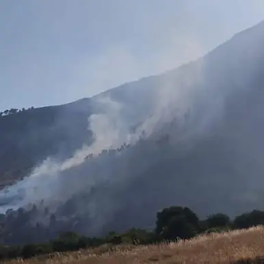 Incendio a Castrovillari, Monte Monzone in fiamme: chiusa l'A2, disagi alla viabilità\n