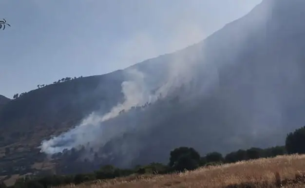 Incendio a Castrovillari, Monte Monzone in fiamme: chiusa l'A2, disagi alla viabilità\n