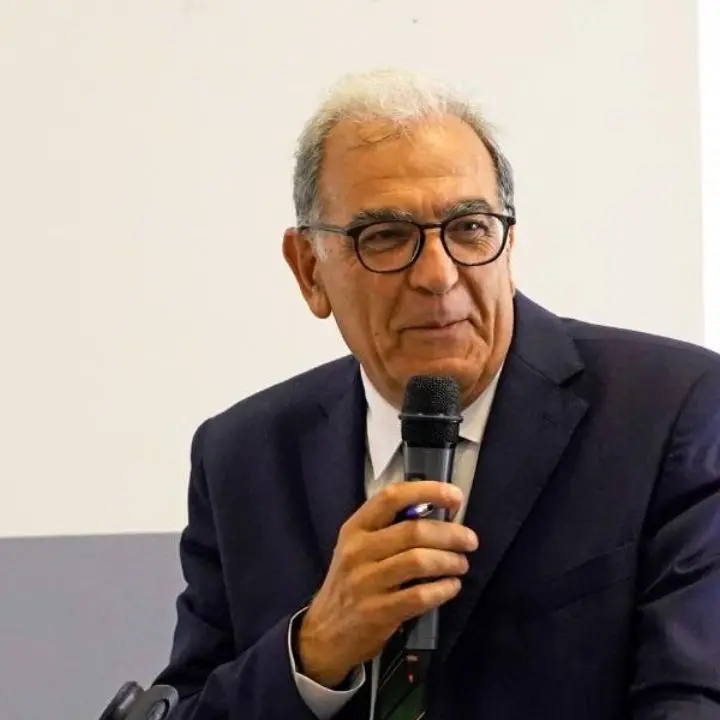 Il Mediterraneo (e la Calabria) al centro del cambiamento, Viscomi racconta il Global South Innovation\n