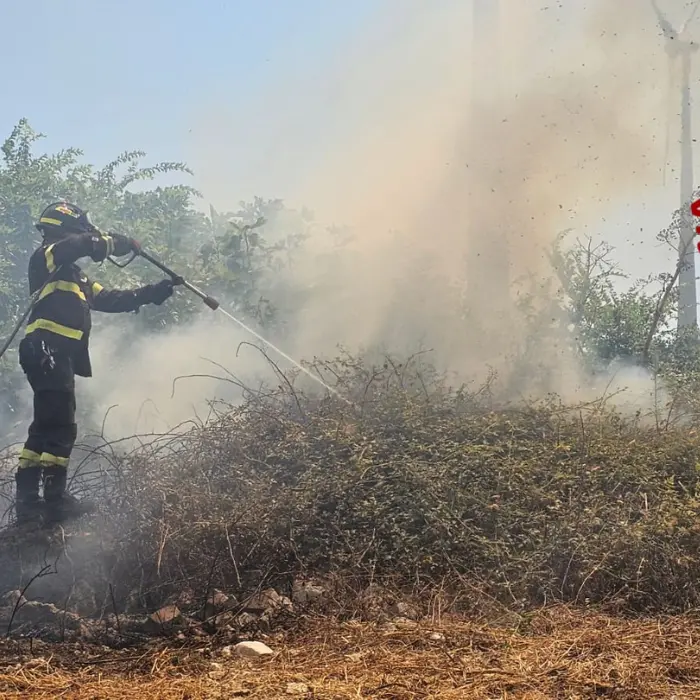 Calabria a fuoco ma senza pompieri, organici sotto numero in tutta la Regione