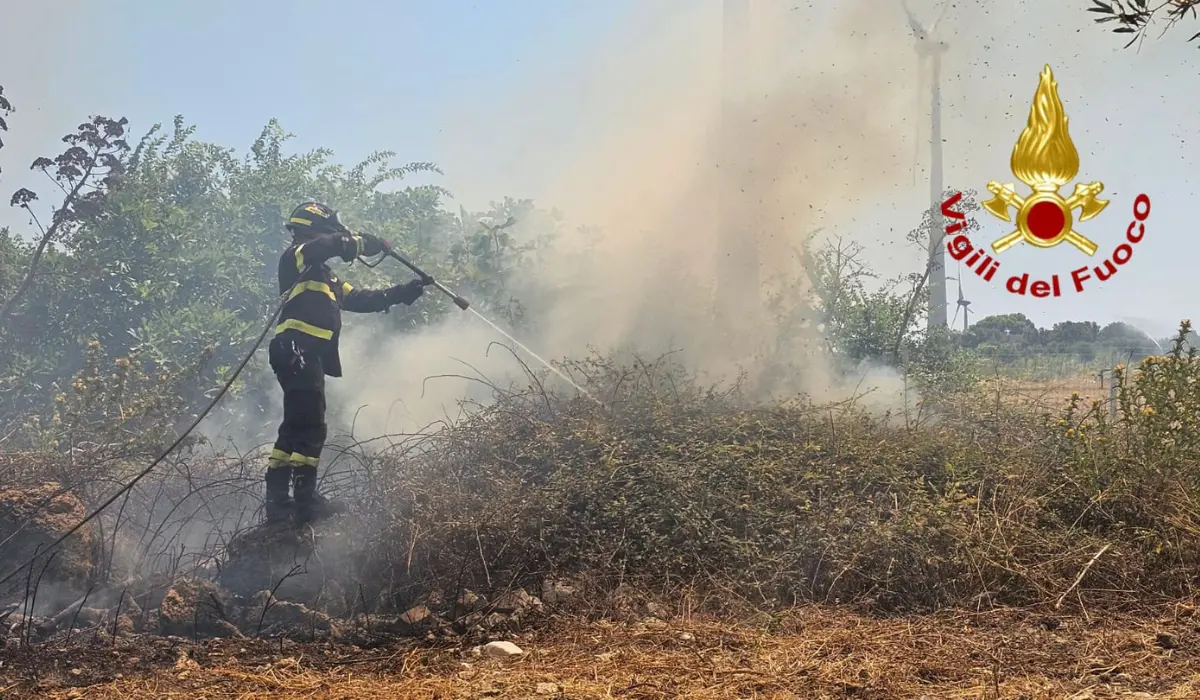 Calabria a fuoco ma senza pompieri, organici sotto numero in tutta la Regione