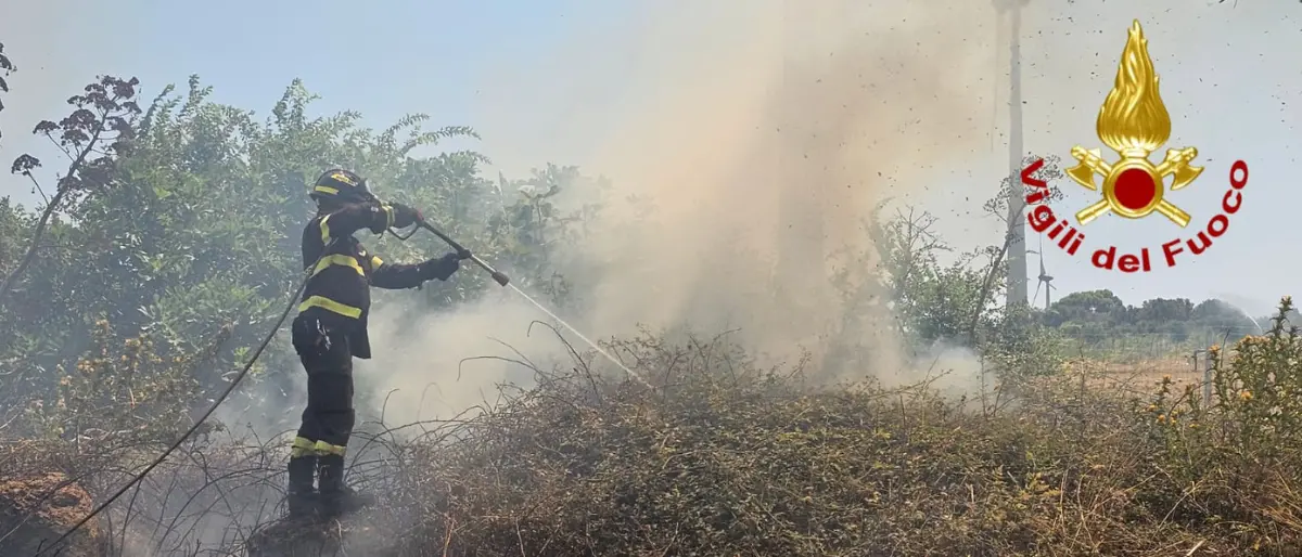 Calabria a fuoco ma senza pompieri, organici sotto numero in tutta la Regione