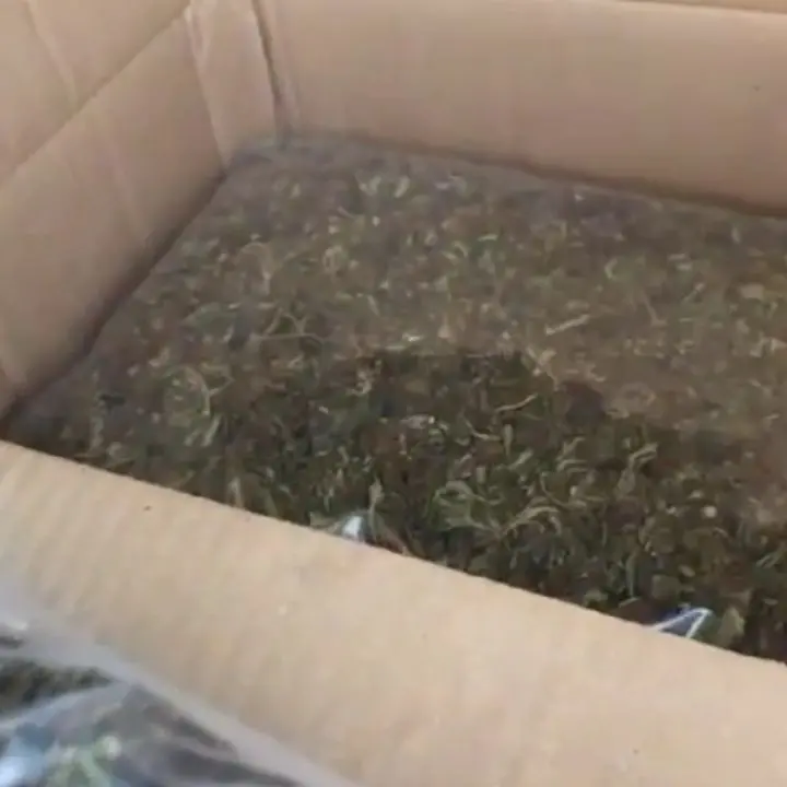 Lamezia Terme, trovato in auto sull’A2 con oltre 8 chilogrammi di marijuana: arrestato\n