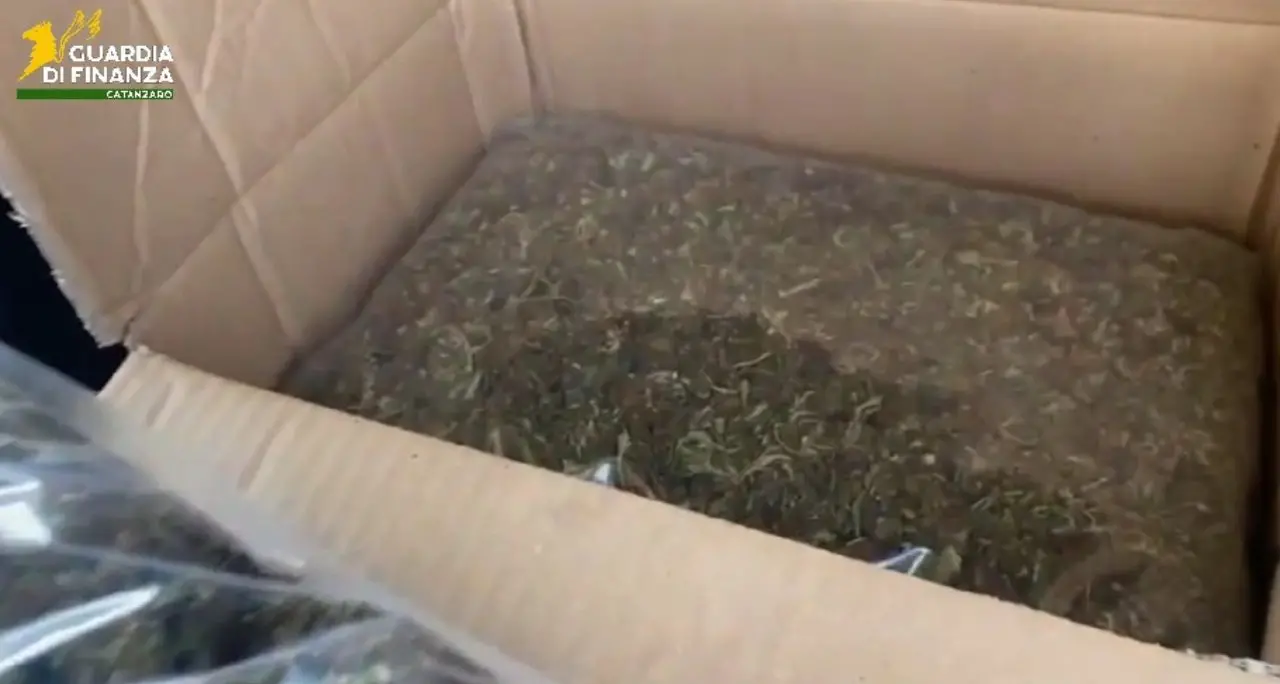 Lamezia Terme, trovato in auto sull’A2 con oltre 8 chilogrammi di marijuana: arrestato\n