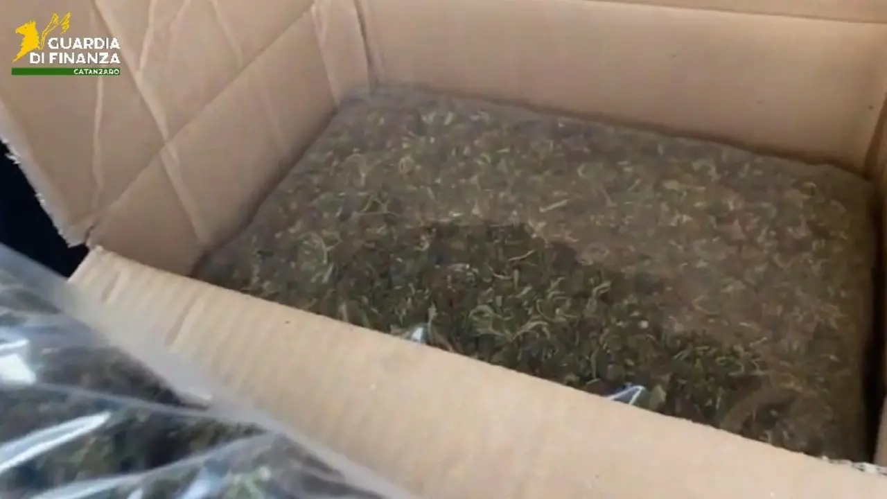 Lamezia Terme, trovato in auto sull’A2 con oltre 8 chilogrammi di marijuana: arrestato\n