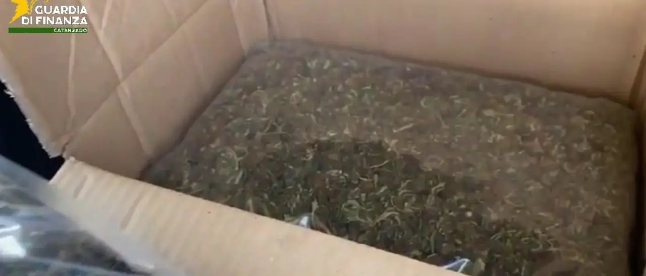 Lamezia Terme, trovato in auto sull’A2 con oltre 8 chilogrammi di marijuana: arrestato\n