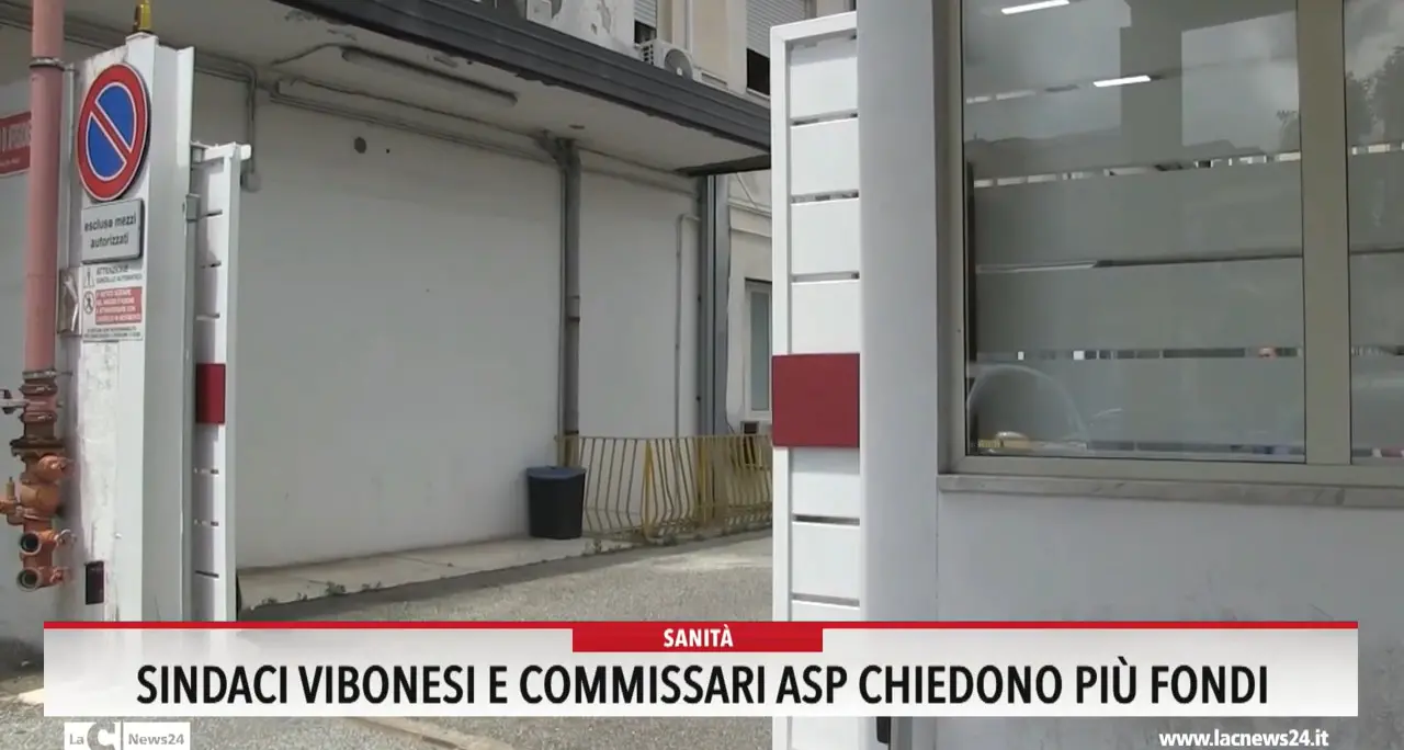 Sindaci vibonesi e commissari Asp chiedono più fondi