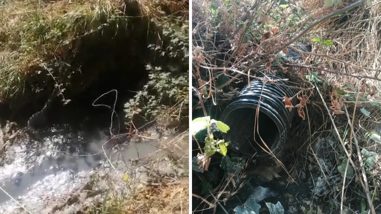 «Il Busento è una bomba ecologica. Occhiuto, Iannucci e Sorcale diano risposte»