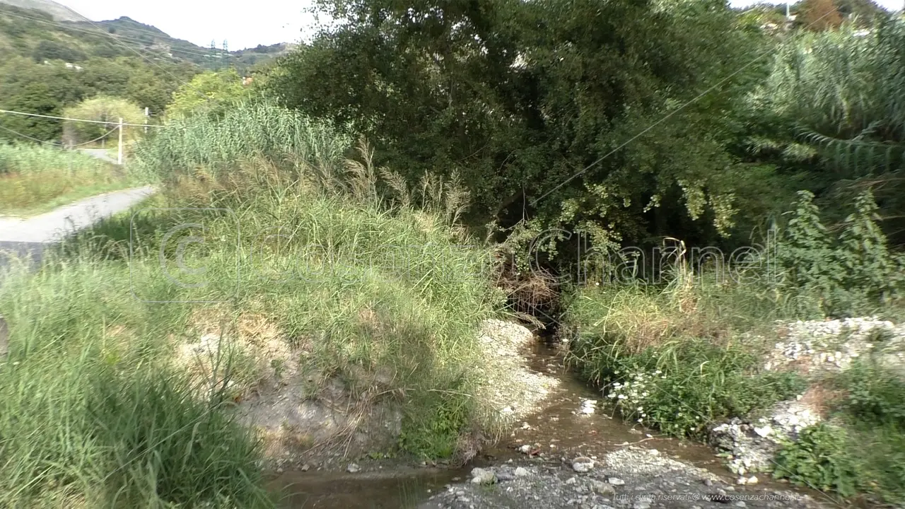Acquappesa, la denuncia di un cittadino: «Degrado e incuria lungo il torrente Acquafetida»
