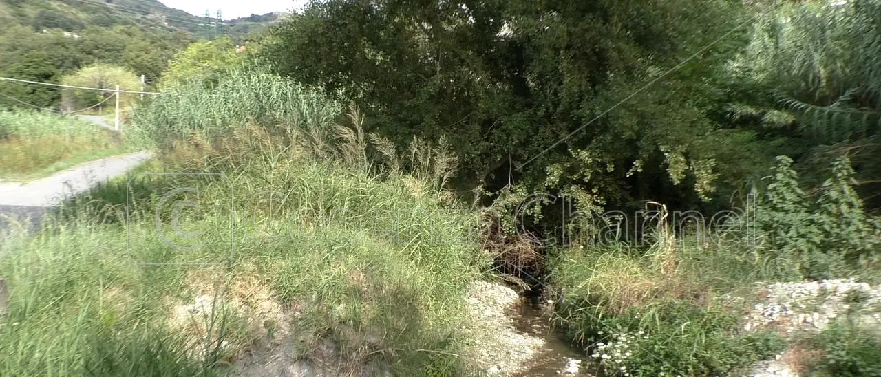 Acquappesa, la denuncia di un cittadino: «Degrado e incuria lungo il torrente Acquafetida»