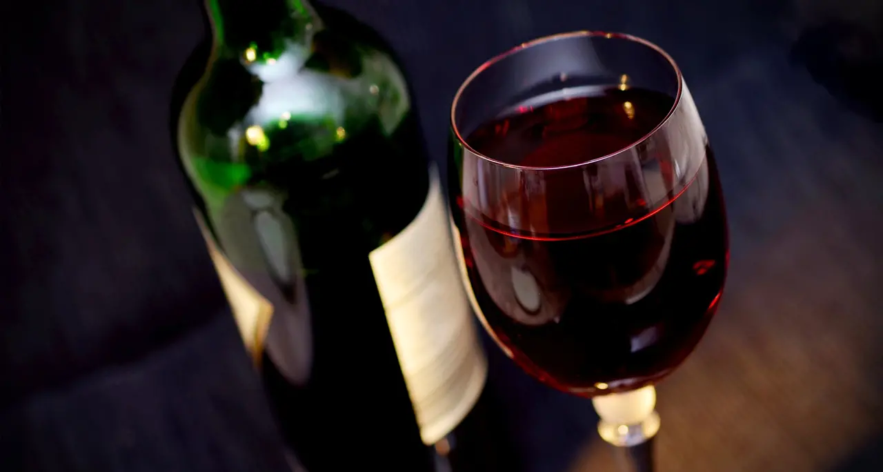 Cosenza apre il percorso verso la 44ª Sagra dell’Uva e del Vino di Donnici | IL PROGRAMMA\n