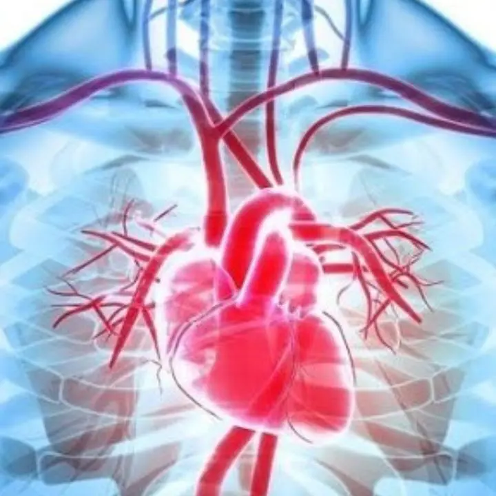 Ipertensione: un trattamento corretto può ridurre ictus, malattia cardiaca e morte improvvisa