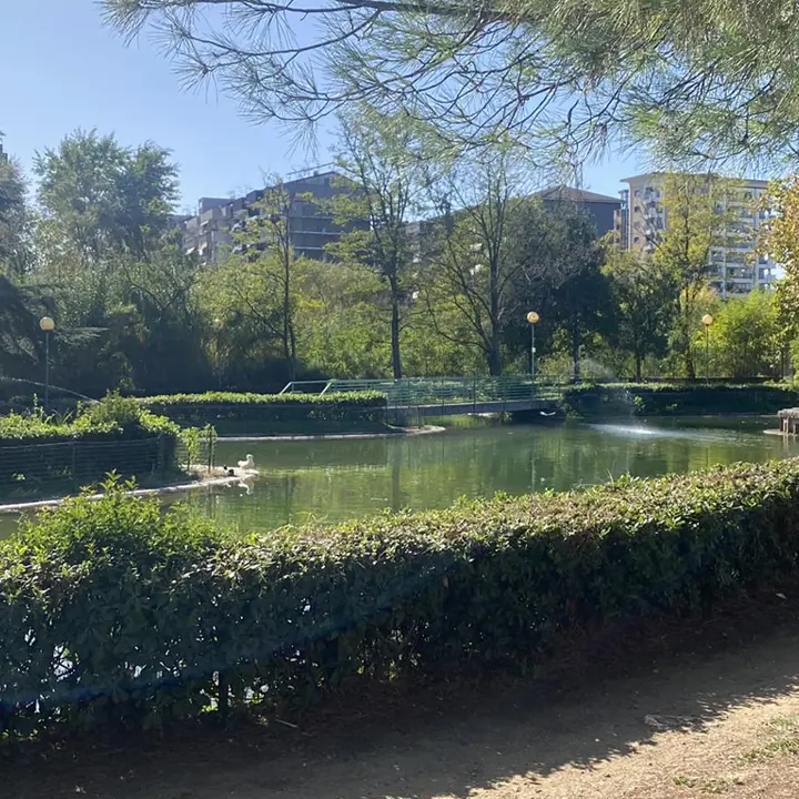 Rende, Principe lavora sul nuovo zoo per bambini all'interno del Parco Robinson