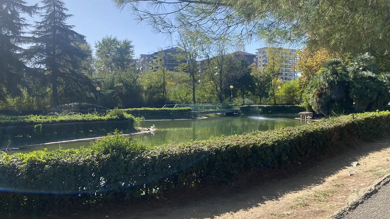 Rende, proteste per il Parco Robinson: “Cani ovunque e nessun controllo”