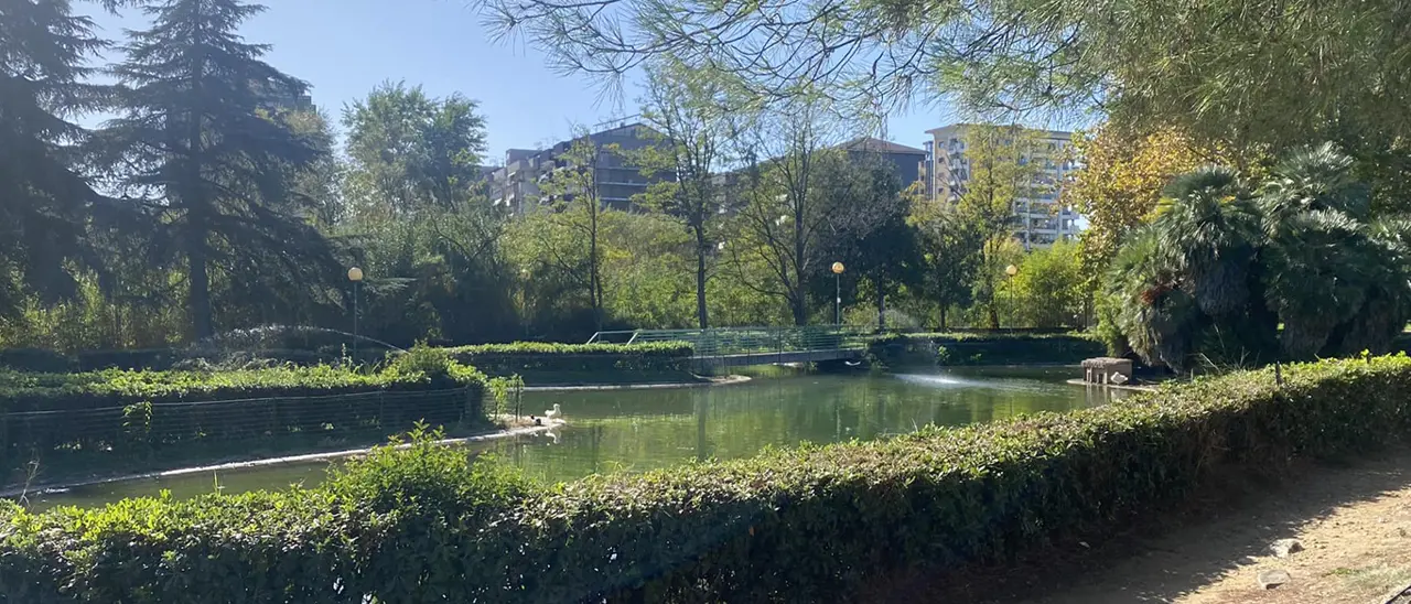 Rende, Principe lavora sul nuovo zoo per bambini all'interno del Parco Robinson