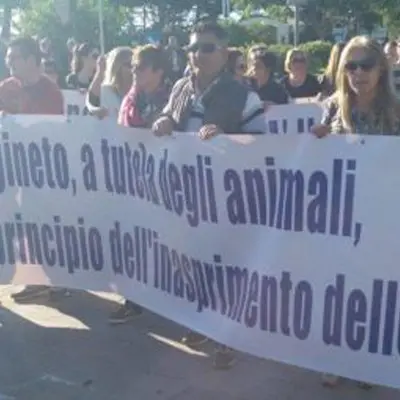 «Gesto crudele», l'accusa chiede un anno e 4 mesi per i torturatori del cane Angelo