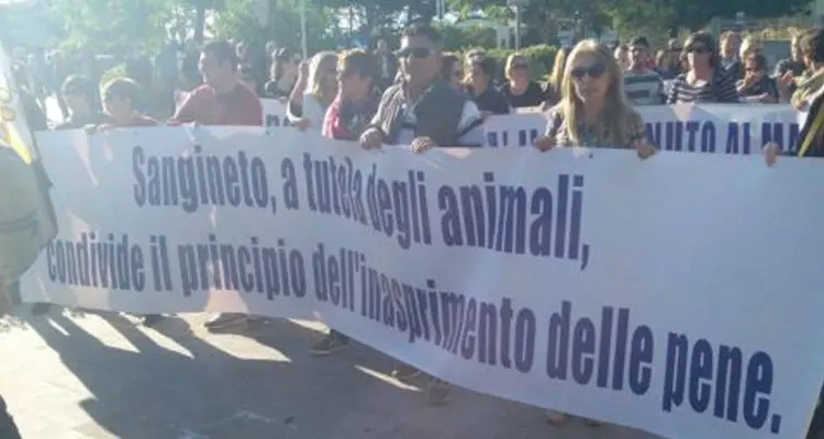 «Gesto crudele», l'accusa chiede un anno e 4 mesi per i torturatori del cane Angelo