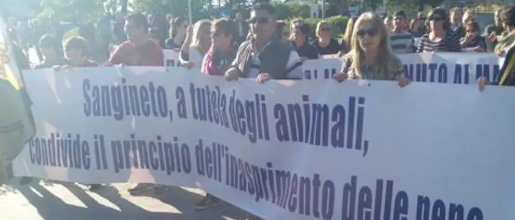«Gesto crudele», l'accusa chiede un anno e 4 mesi per i torturatori del cane Angelo