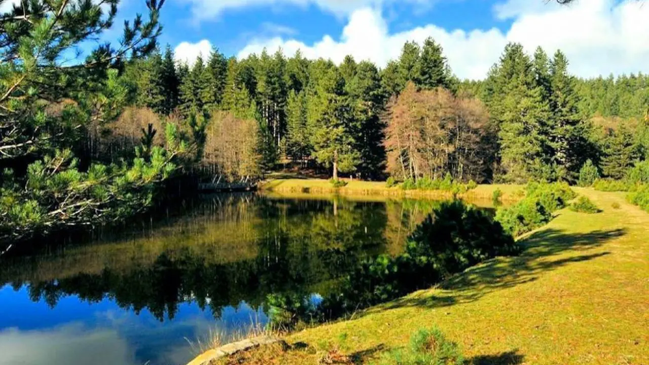 \"A scuola nel Parco\": il progetto di educazione ambientale che porta gli studenti in Sila