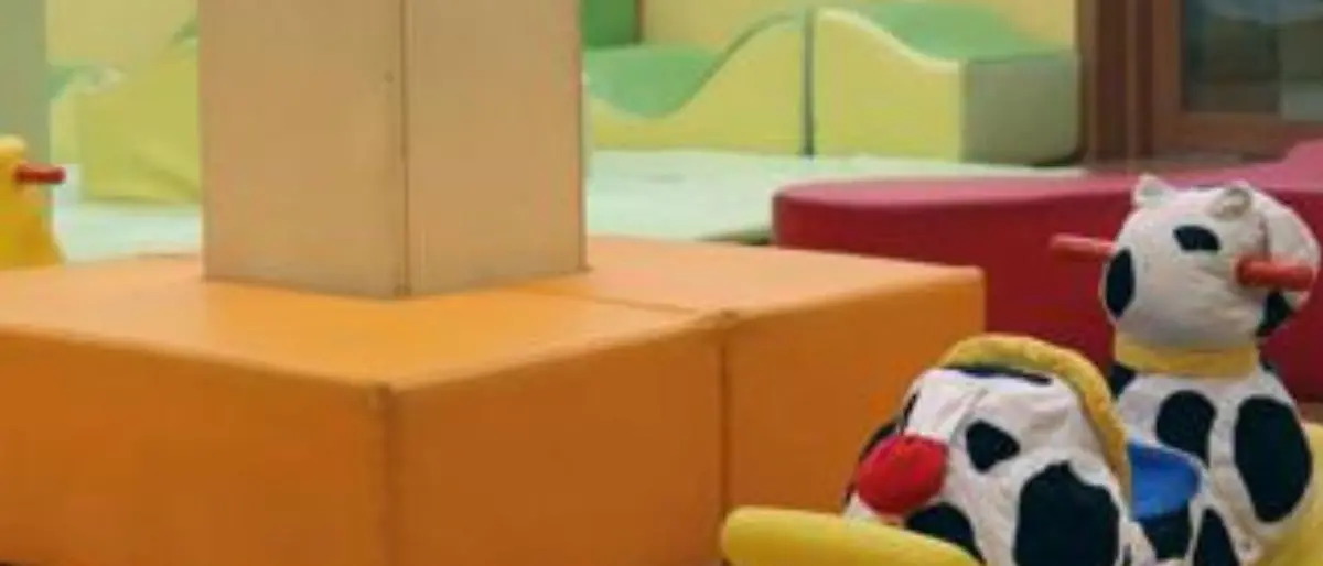 Cosenza, caos asili nidi. Lavoratrici sottopagate e precarie. L'Usb: «Il Comune intervenga subito»