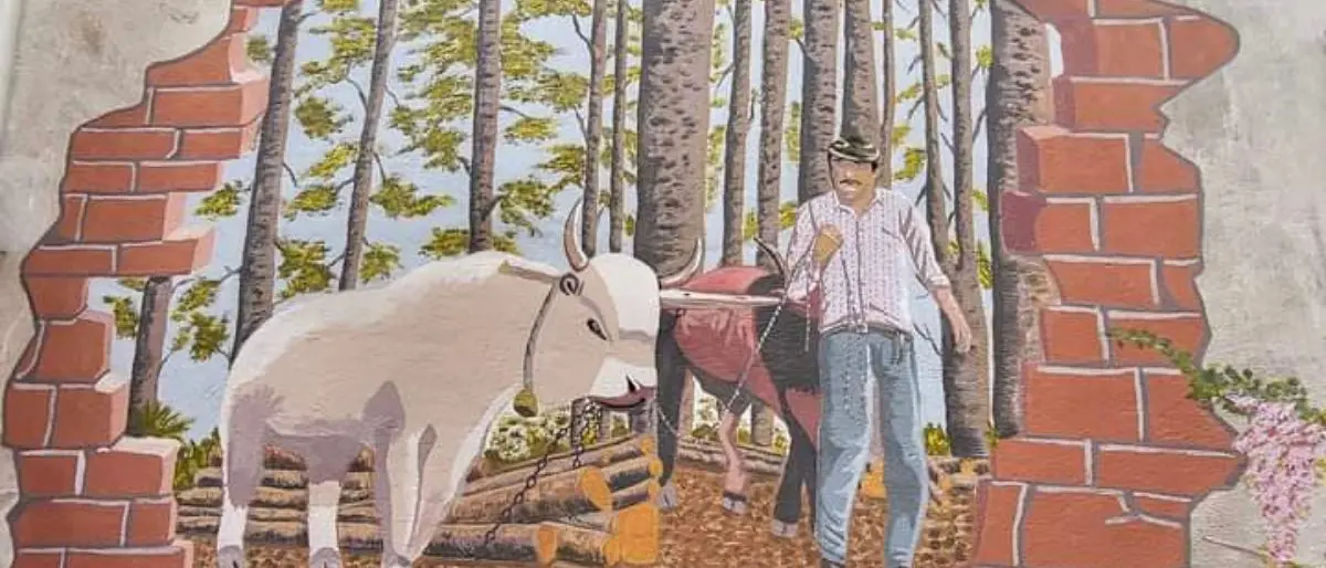 Da Longobucco il progetto \"coloriAMO il borgo\": come far rivivere i nostri centri storici