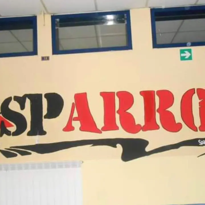 Il Comune di Rende e lo spazio dello Sparrow: polemiche sull'assegnazione alla scuola