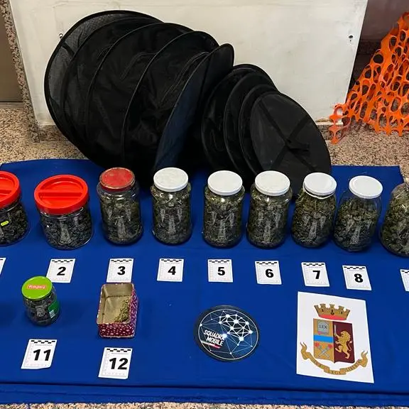 Zumpano, custodiva la marijuana in undici barattoli di vetro: rimesso in libertà