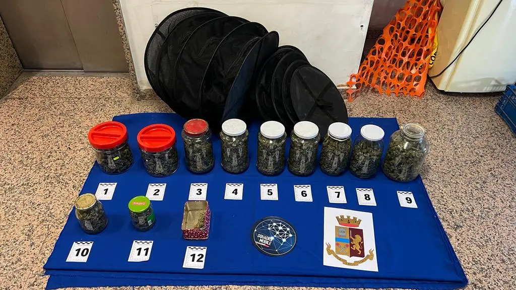 Cosenza e Rende, due arresti per droga detenzione illegale di armi
