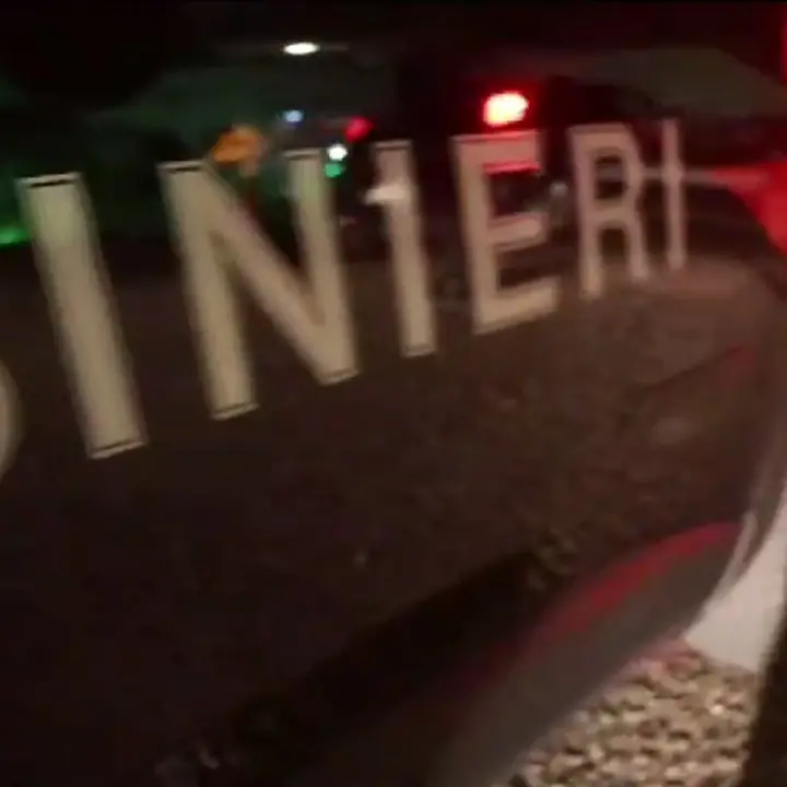 Blitz all’alba ordinato dalla Dda di Catanzaro: 17 arresti per mafia