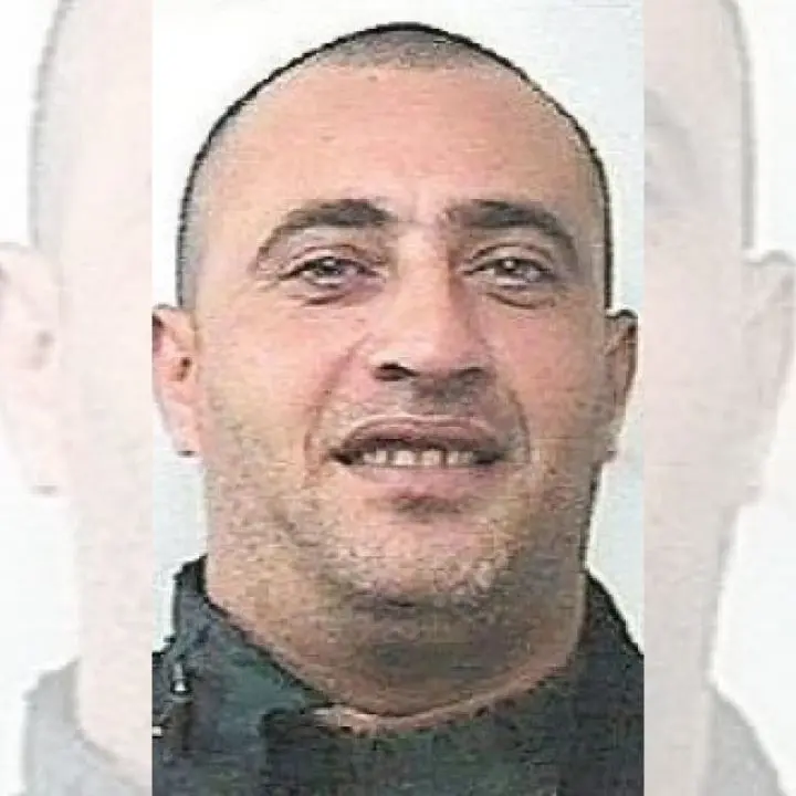 L'omicidio Di Cicco deliberato in una piantagione di clementine. Ciro Nigro: «Volevo ucciderlo io, ma me lo hanno impedito»