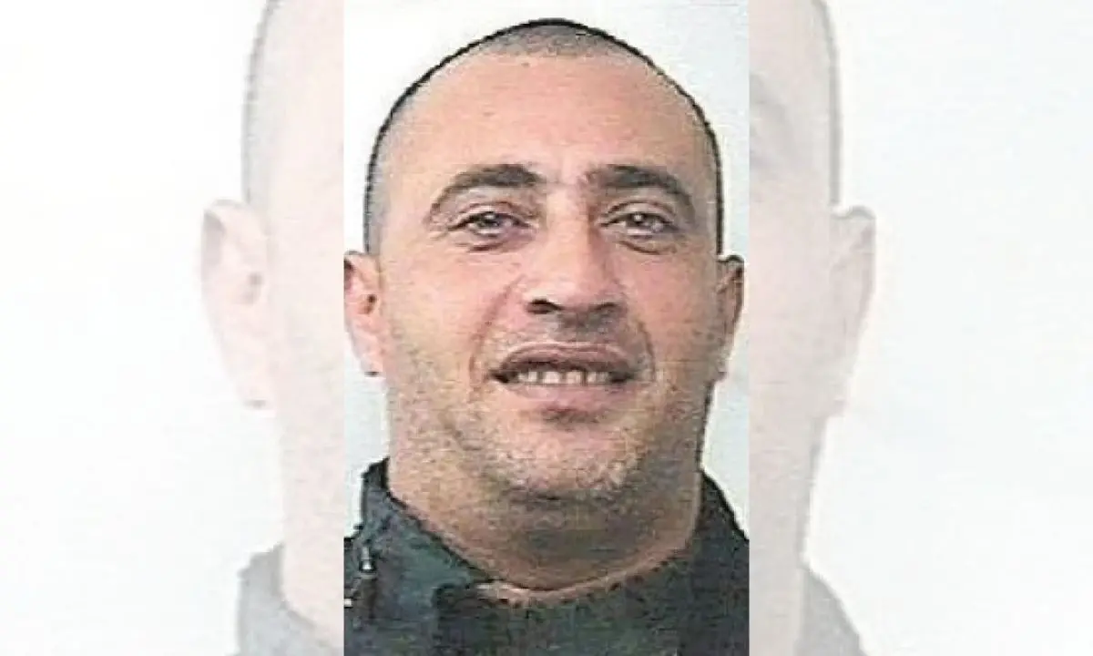 L'omicidio Di Cicco deliberato in una piantagione di clementine. Ciro Nigro: «Volevo ucciderlo io, ma me lo hanno impedito»