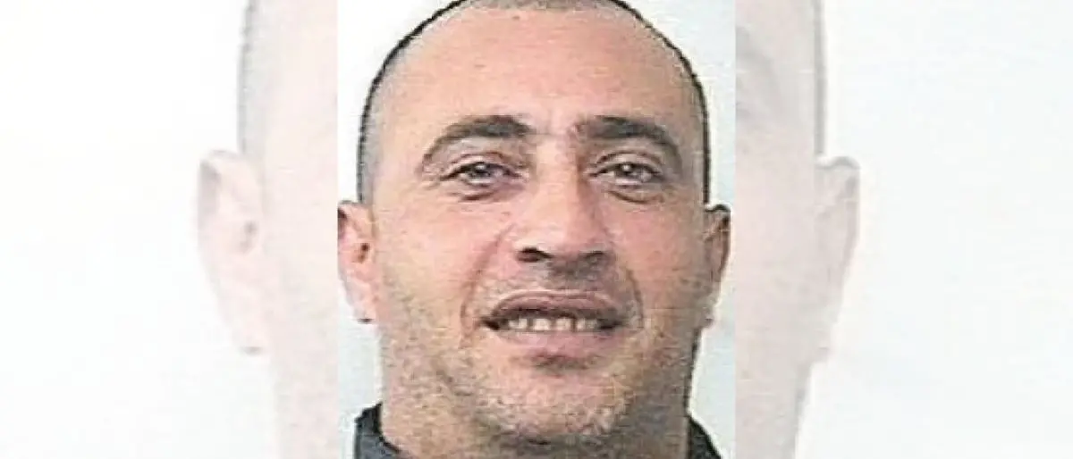 L'omicidio Di Cicco deliberato in una piantagione di clementine. Ciro Nigro: «Volevo ucciderlo io, ma me lo hanno impedito»