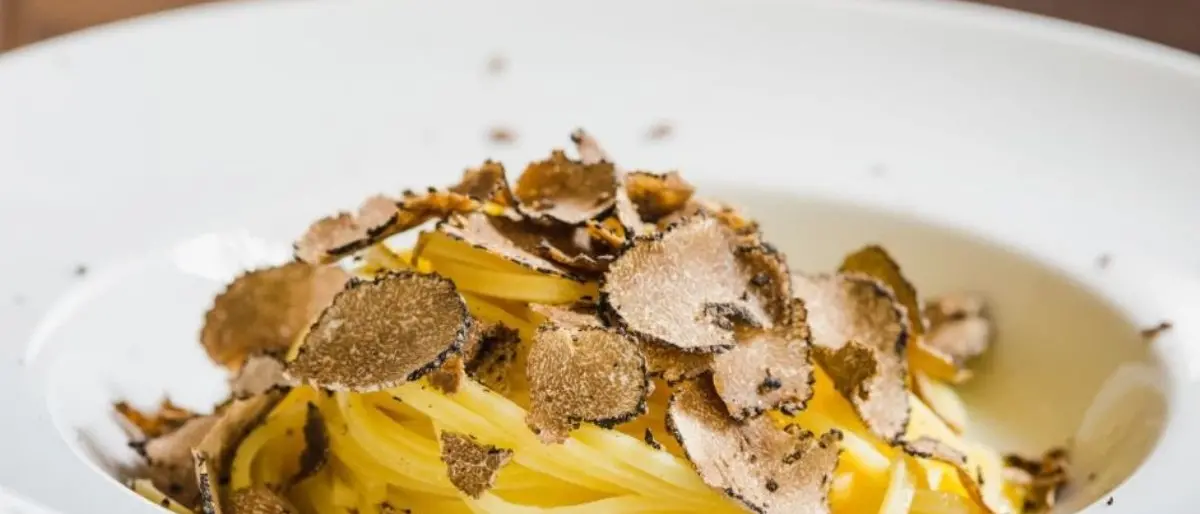 Tartufi e funghi del Pollino, tre giorni ricchi di appuntamenti
