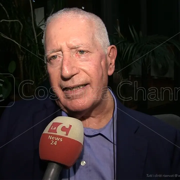 Principe: «Alla fine \"quattro gatti\" hanno battuto gli Occhiuto. Ora Roberto dica ai suoi di fermarsi». E sulle Comunali...