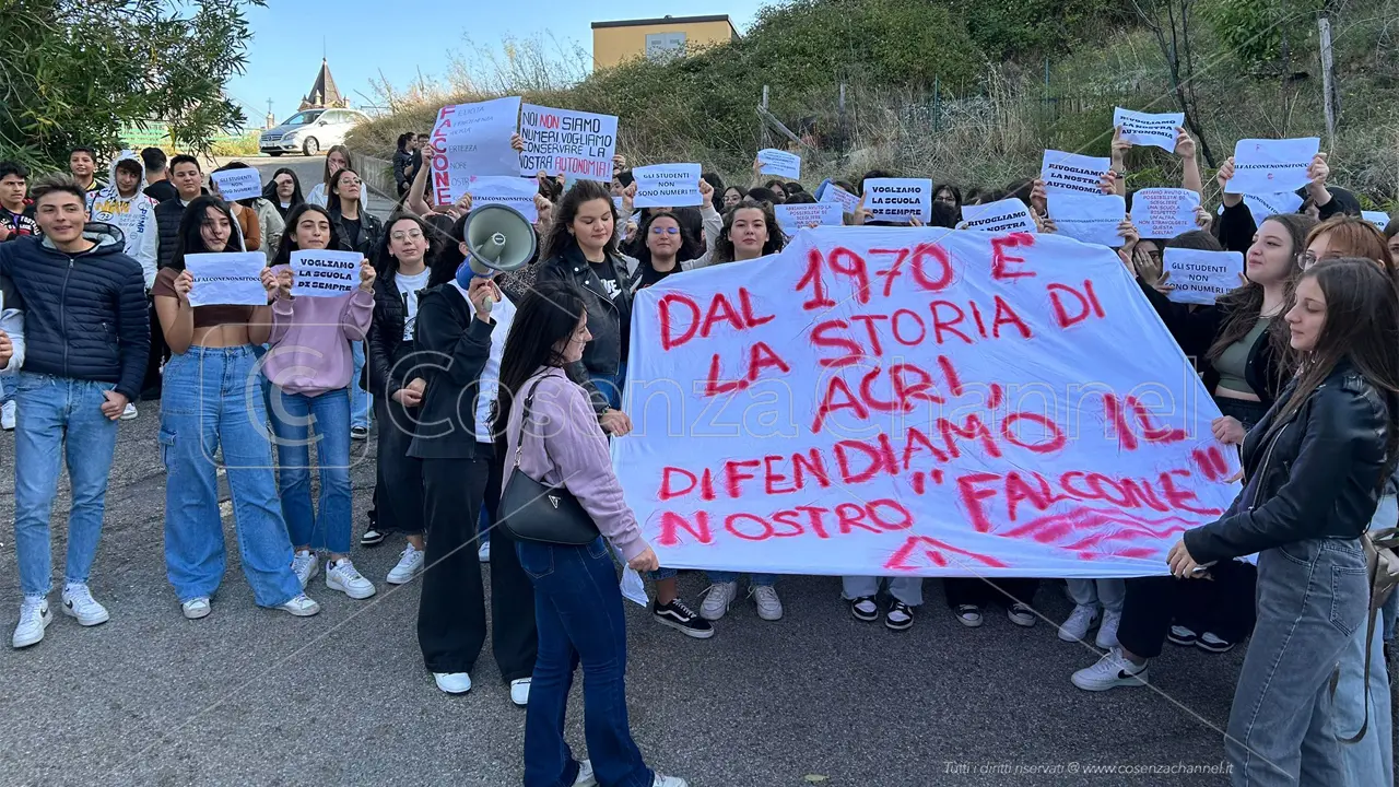 Acri, \"il Falcone non si tocca\". Studenti in corteo, Capalbo li accoglie in Comune | FOTO