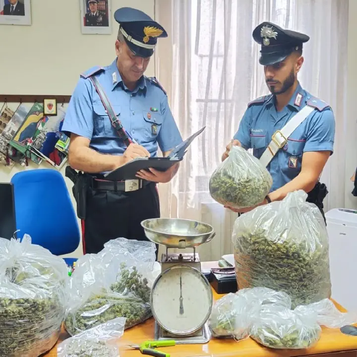 Lattarico, arrestato un uomo che nascondeva 5,8 Kg di marijuana