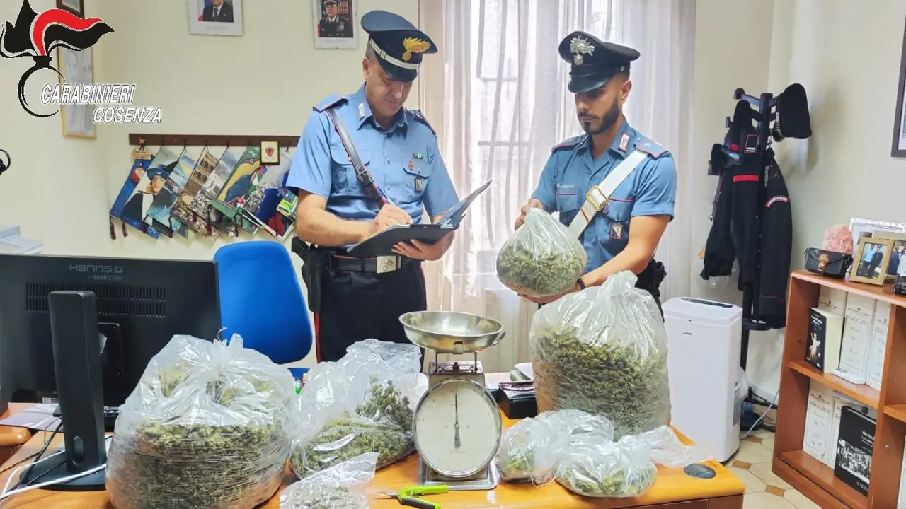 Lattarico, arrestato un uomo che nascondeva 5,8 Kg di marijuana