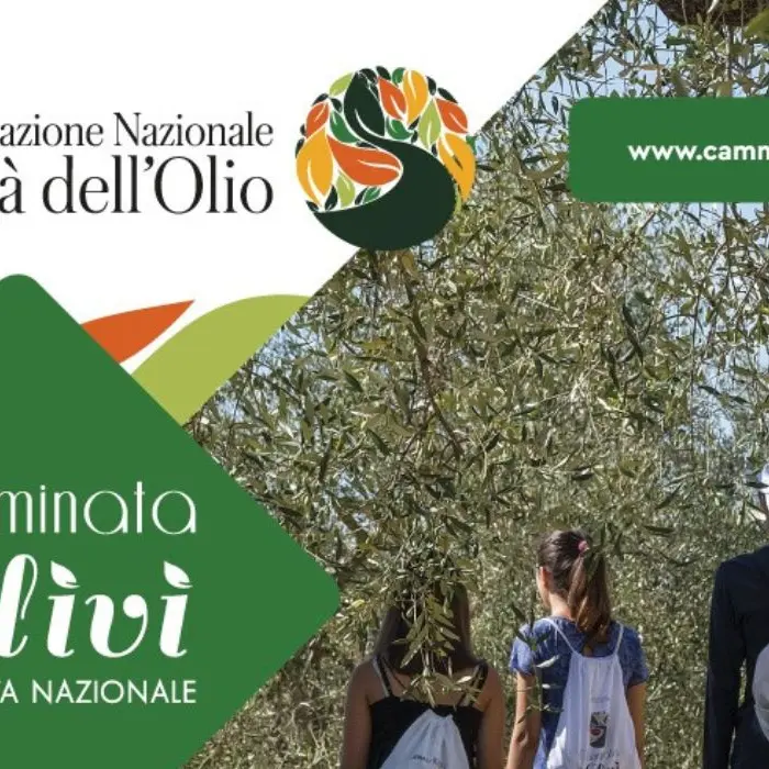 Camminata tra gli olivi: l'appuntamento è per domenica 29 ottobre