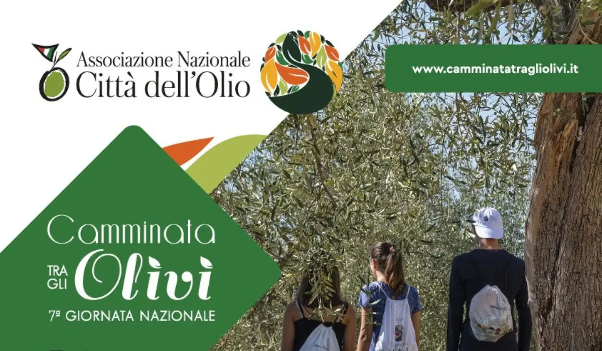 Camminata tra gli olivi: l'appuntamento è per domenica 29 ottobre
