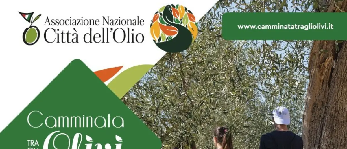 Camminata tra gli olivi: l'appuntamento è per domenica 29 ottobre