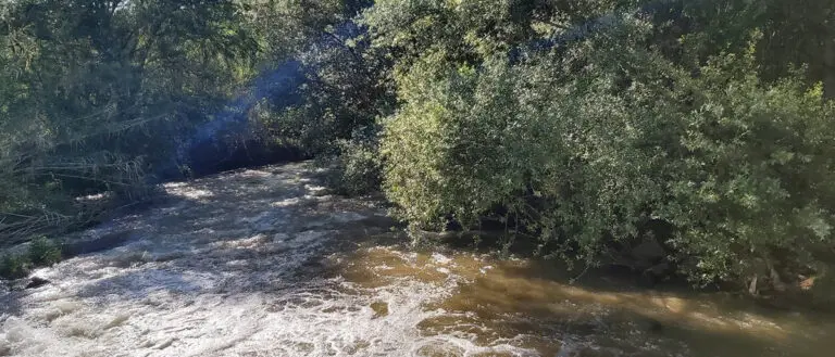 Fiume Crati: sbloccati 8milioni di euro per la messa in sicurezza