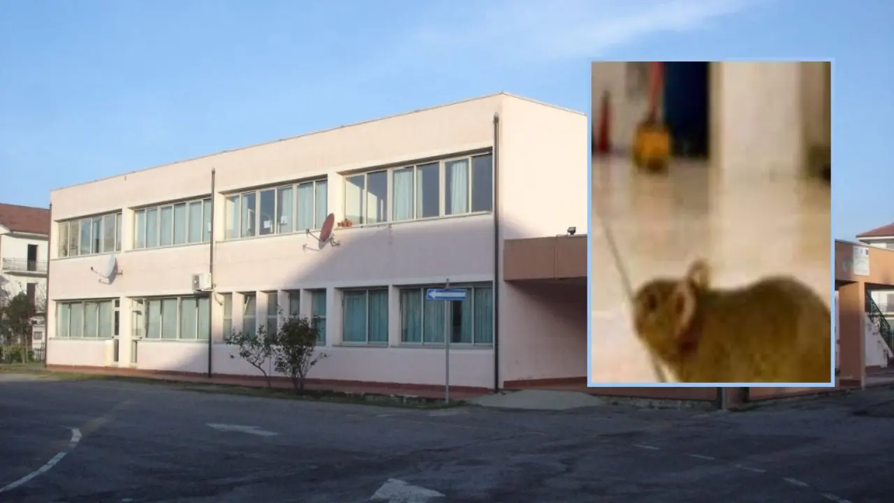 «La scuola di contrada Cavoni a Luzzi è una bomba ecologica»: la denuncia di Giuseppe Giorno