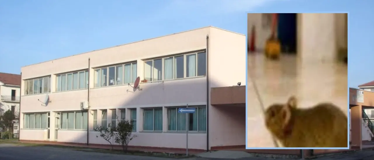 «La scuola di contrada Cavoni a Luzzi è una bomba ecologica»: la denuncia di Giuseppe Giorno